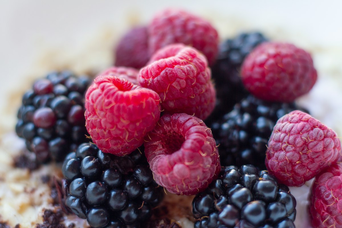 Fibres alimentaires